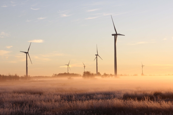 Power Generation & Distribution